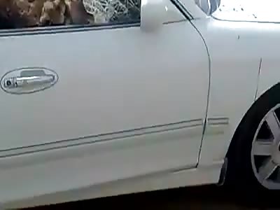 NEW ARAB CAR MODEL: 01 CP (CAMEL POWER)