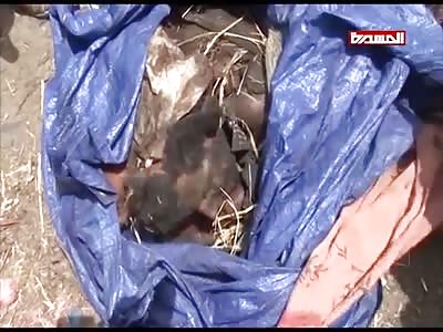 DEATH EMPIRE IN YEMEN