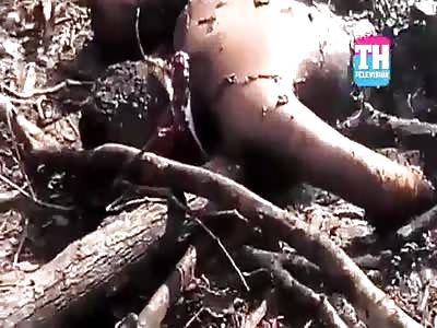 MEN WERE KILLED AND THEIR BODIES BURNED