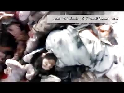 THEY HAVE GROWN UP AND STILL PLAY DEAD!