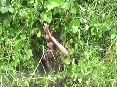BANDIT IS CHASED AND EXECUTED BY POLICE