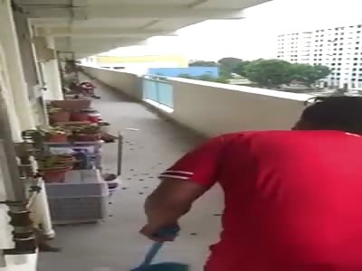 ATTACK OF COCKROACHES