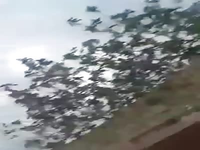 SCREAMS, PAIN AND DEATH