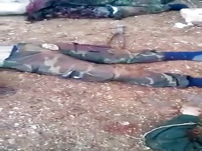 THE RAVISHING SPLENDOR OF DEATH