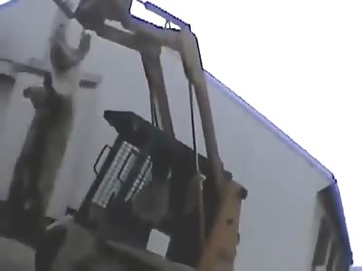 humans are the scum of the world.