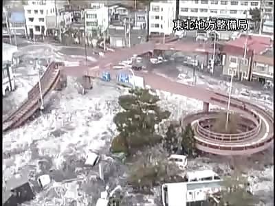 Nature is awsome !!!