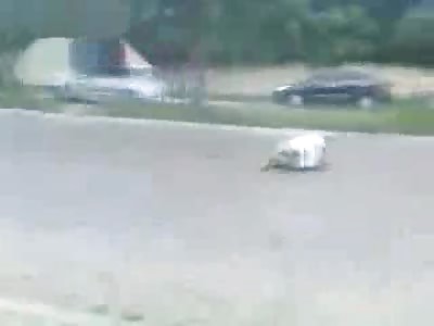  guy uses his car to kill, when everything is over ... see what happens