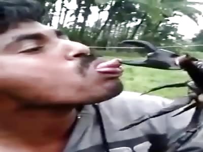 Stupidity at its finest