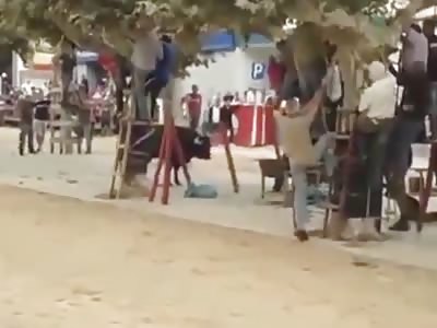 70 years old man gored and killed in bullfight