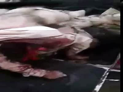   Death body of Iraqi soldiers  