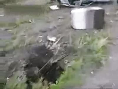 The driver was killed in a terrible accident 