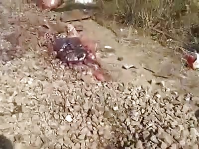 Train and elephant accident live in haridwar uttrakhand india