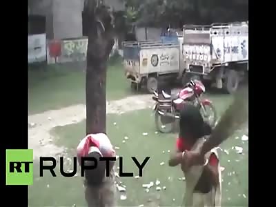India Suspected molester tied to tree and beaten by woman 