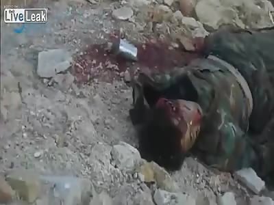 Seven shabiha lie dead: Almiasat (Feb 6th, '15) 