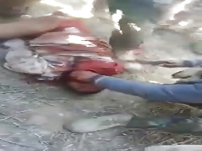 Nooo don't cut my head off..