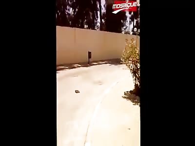 Day at the beach: Dead people AND getting shot at!