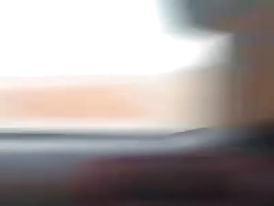 pinpong playing with a car