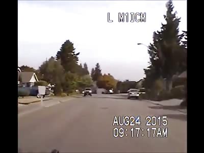 Police chase ends in car crash 