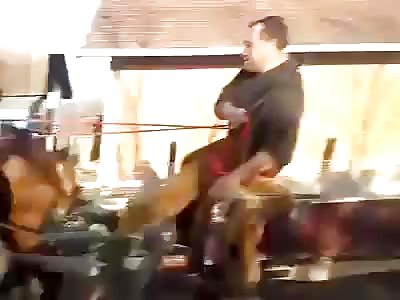 Brutal tug-o-war with horses