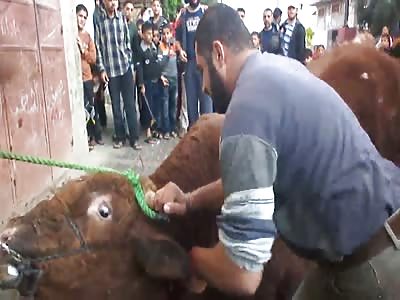 The Savage Religion!