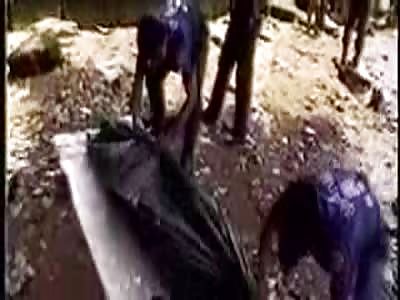 death world - asian shockumentary part 2