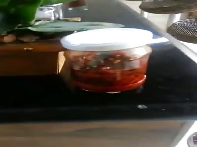 Extreme cruelty - Force Doggie The Man Eating Pepper 