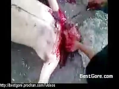 CLASSIC!! mexican beheading mix ( includes screaming old man) ENJOY!! mix de decaÃ­taciones! , incluye el seÃ±or de edad que se queja a gritos mientras lo decapitran , bon apetit!!