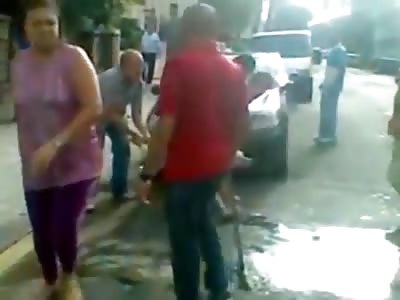 pit bull attack Labrador, Brazil