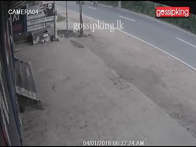  Dog Causes Terrible Crash after Racing out in Front of Rickshaw