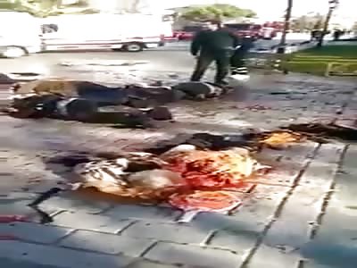 Istanbul Blast Killed 10 Injuring Several Aftermath