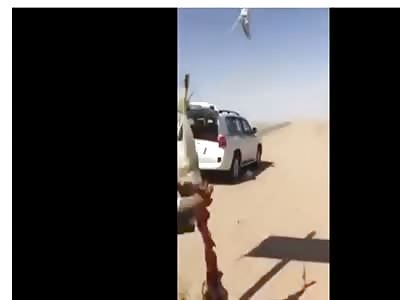 Man Eating Raw Meat of Slaughtered Wolf