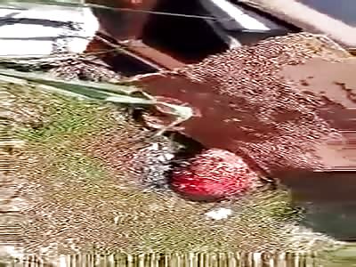 Bandit Burned Alive by Population After Thrashing