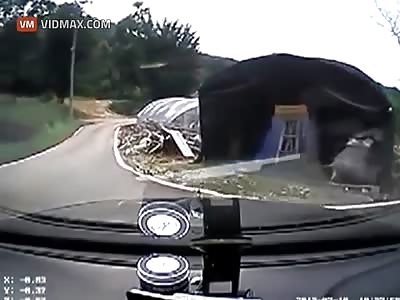 South Korean Woman's driving test ends as quickly as it started.