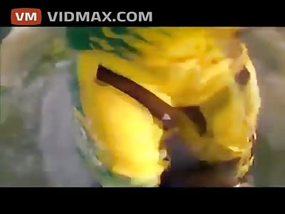 Superman motorcycle stung goes horribly wrong, guy loses the motorcycle in mid-air