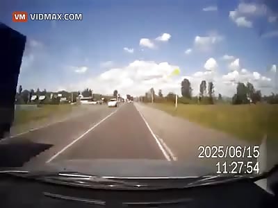 Cow is hit by a car while having sex.