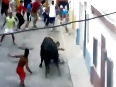 Bull gores man to death!